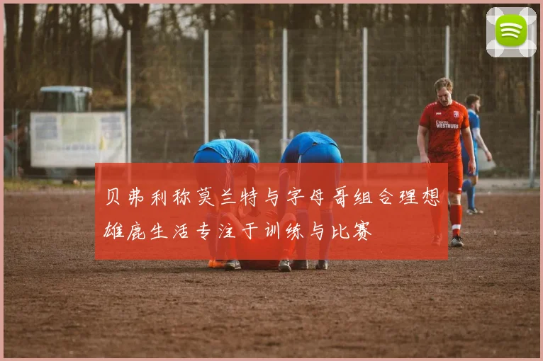 贝弗利称莫兰特与字母哥组合理想雄鹿生活专注于训练与比赛