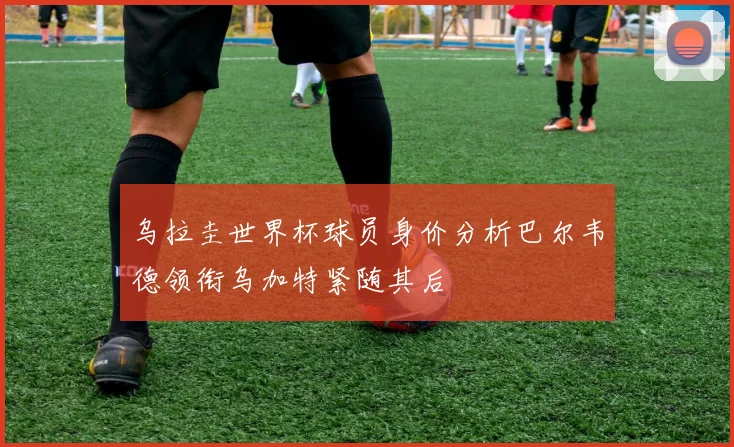 乌拉圭世界杯球员身价分析巴尔韦德领衔乌加特紧随其后