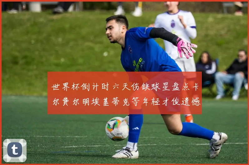 世界杯倒计时六天伤缺球星盘点卡尔费尔明埃基蒂克等年轻才俊遗憾缺席